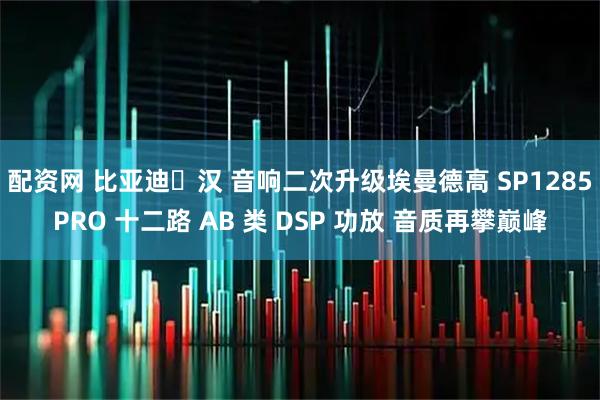 配资网 比亚迪・汉 音响二次升级埃曼德高 SP1285PRO 十二路 AB 类 DSP 功放 音质再攀巅峰